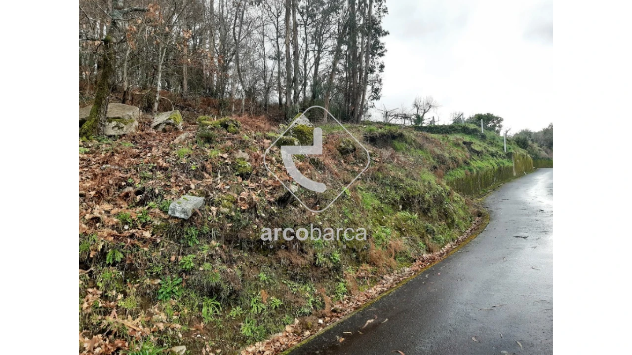 Terreno para Venda em Vilela, São Cosme e São Damião e Sá Foto 13
