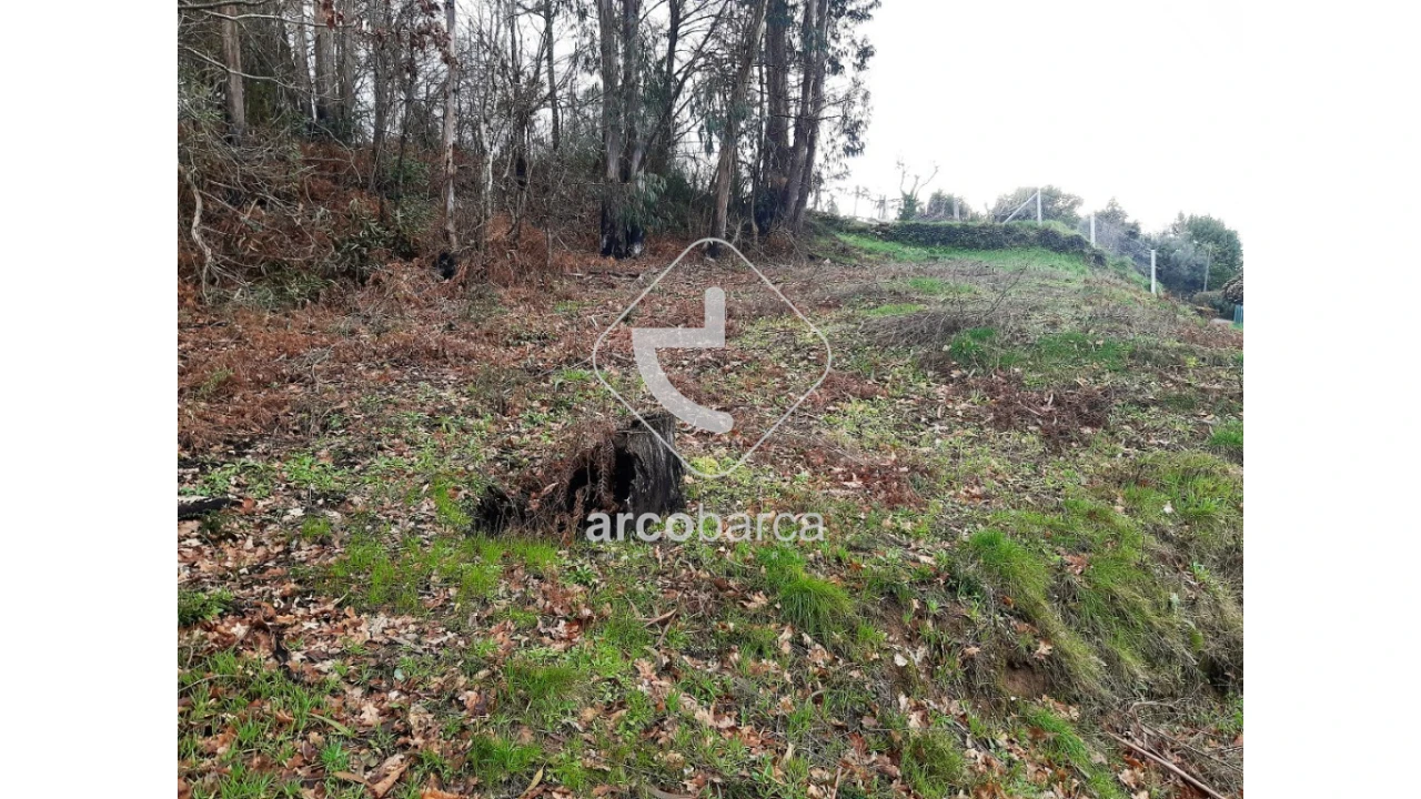 Terreno para Venda em Vilela, São Cosme e São Damião e Sá Foto 14