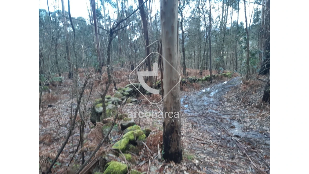 Terreno para Venda em Vilela, São Cosme e São Damião e Sá Foto 10