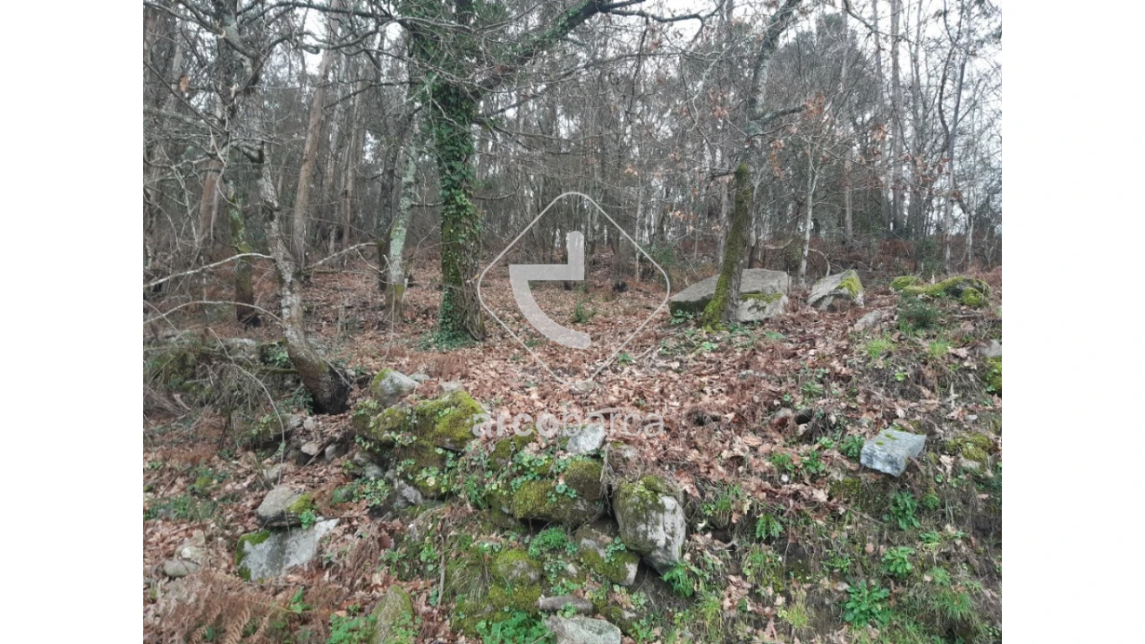 Terreno para Venda em Vilela, São Cosme e São Damião e Sá Foto 12