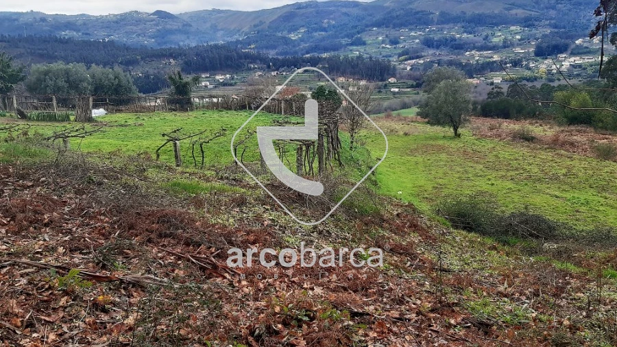 Terreno para Venda em Vilela, São Cosme e São Damião e Sá
