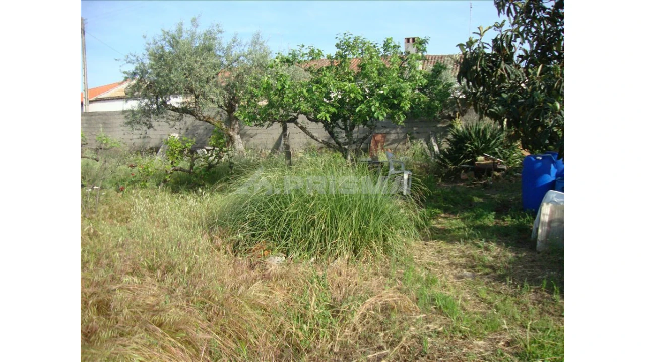 Terreno para Venda em Escalos de Baixo e Mata Foto 1