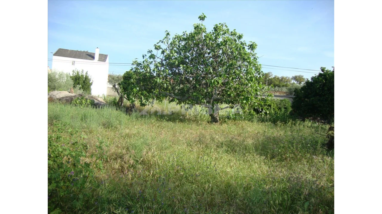 Terreno para Venda em Escalos de Baixo e Mata Foto 7