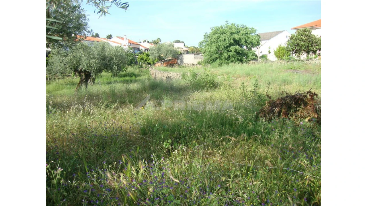 Terreno para Venda em Escalos de Baixo e Mata Foto 6