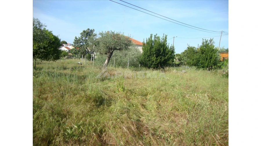Terreno para Venda em Escalos de Baixo e Mata Foto 2