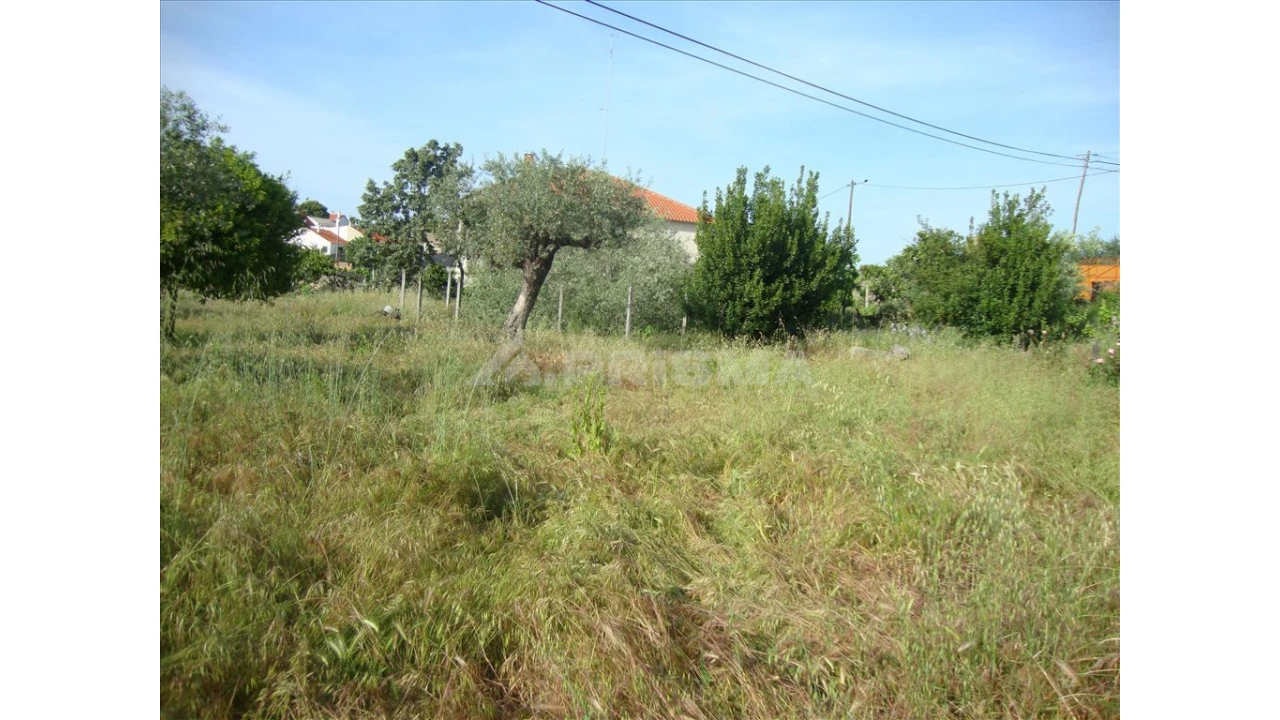 Terreno para Venda em Escalos de Baixo e Mata Foto 2