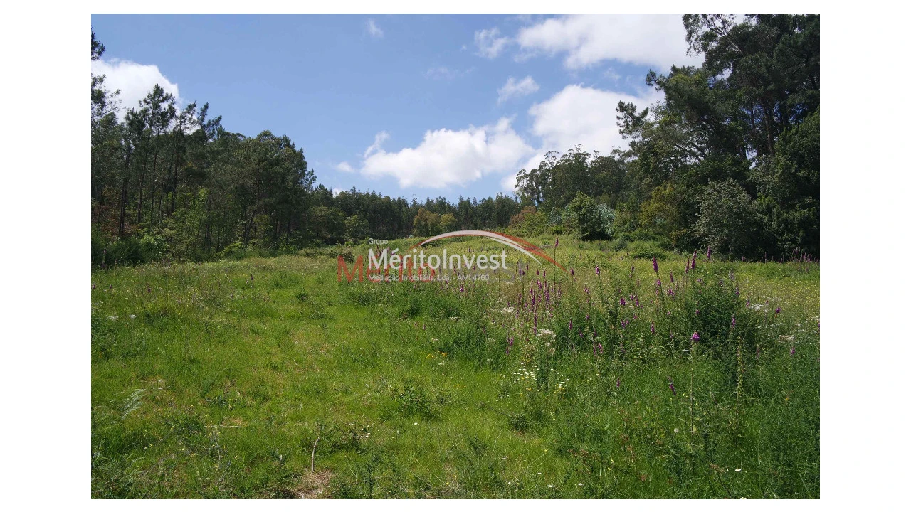 Terreno para Venda em Dossãos Foto 1