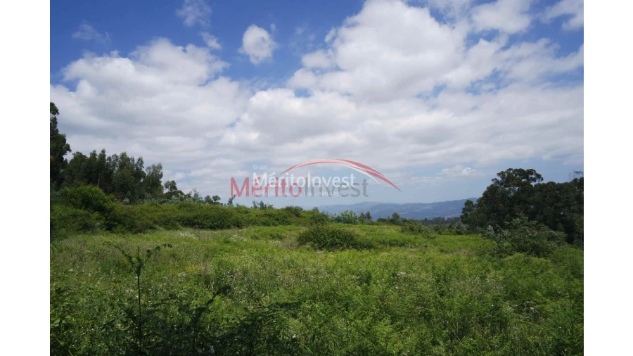 Terreno para Venda em Dossãos Foto 6