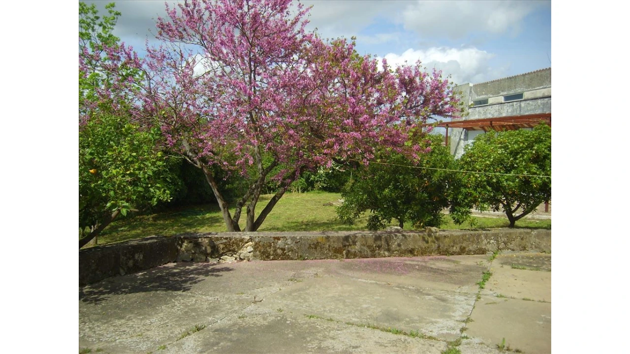 Quinta para Venda em Leiria, Pousos, Barreira e Cortes Foto 4
