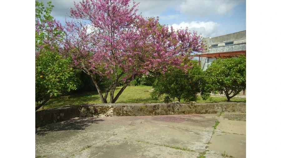 Quinta para Venda em Leiria, Pousos, Barreira e Cortes Foto 4