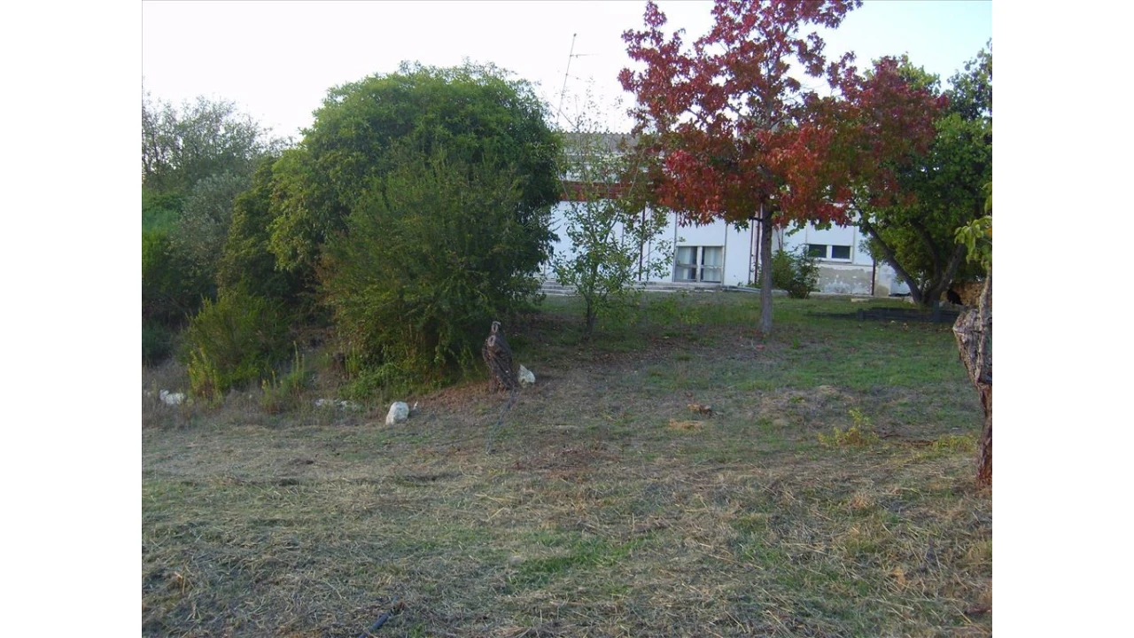 Quinta para Venda em Leiria, Pousos, Barreira e Cortes Foto 5