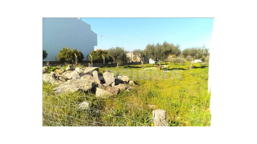 Terreno para Venda em Castelo Branco