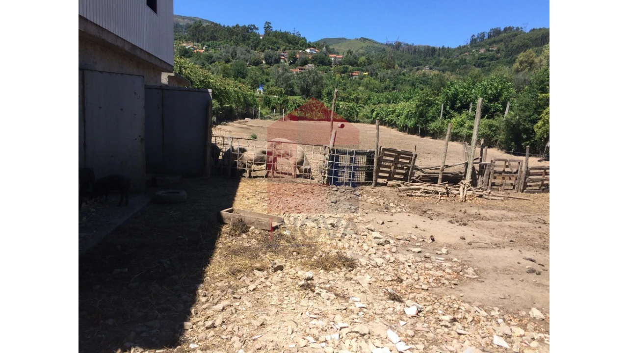 Terreno para Venda em Vade Foto 5