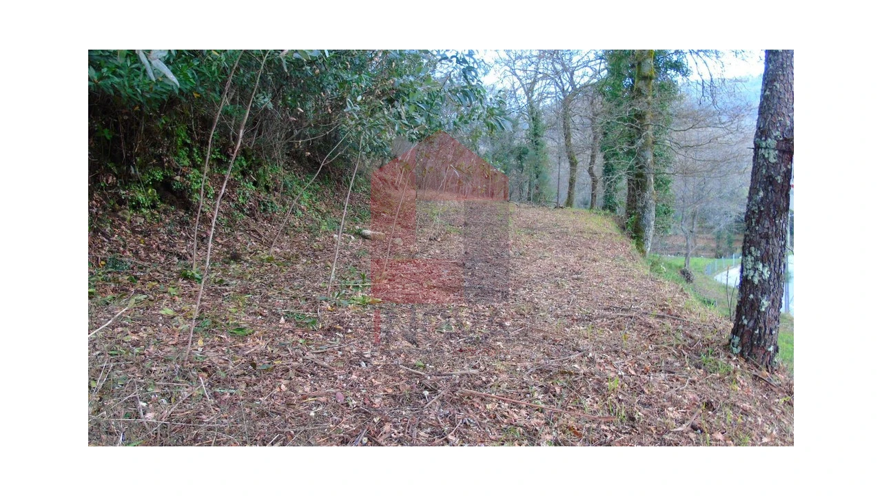 Terreno para Venda em Pico de Regalados, Gondiães e Mós Foto 3