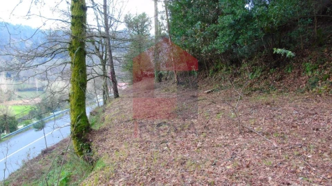 Terreno para Venda em Pico de Regalados, Gondiães e Mós