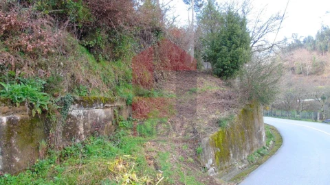 Terreno para Venda em Pico de Regalados, Gondiães e Mós