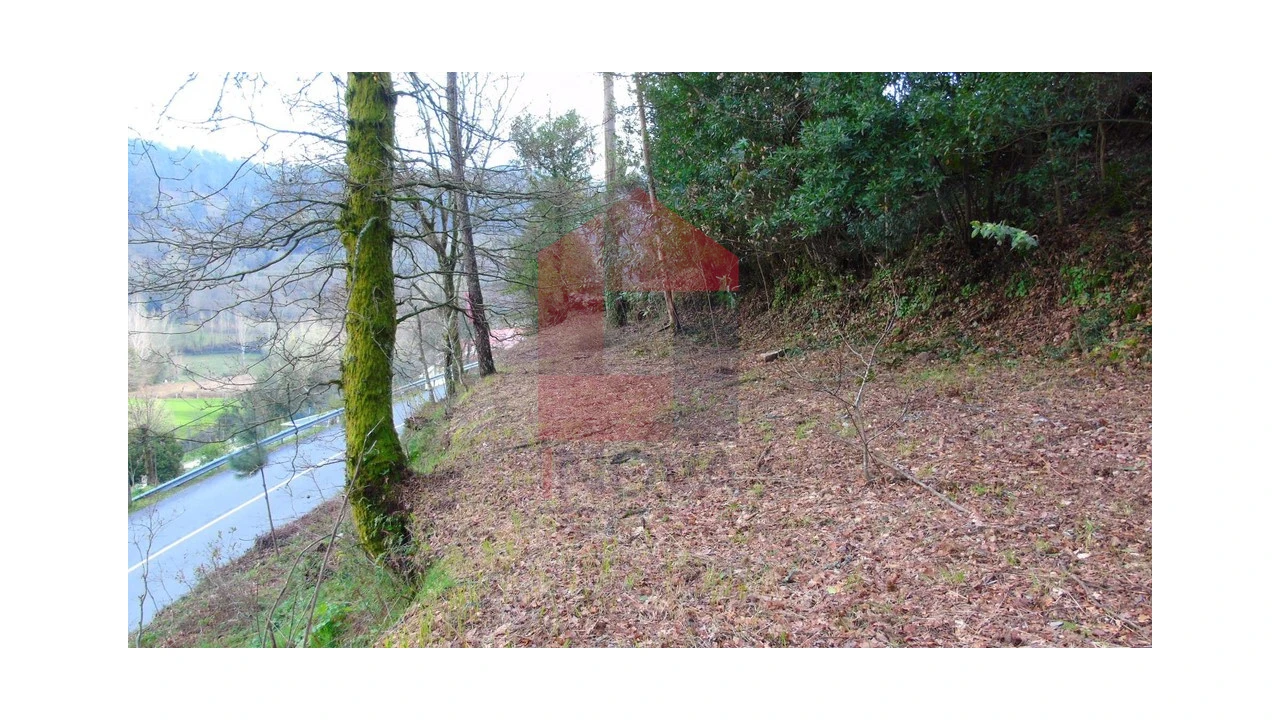 Terreno para Venda em Pico de Regalados, Gondiães e Mós Foto 2