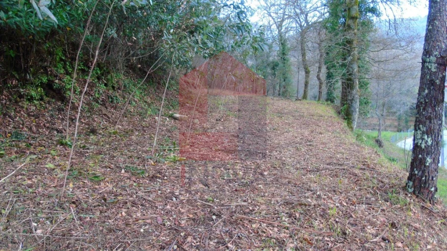 Terreno para Venda em Pico de Regalados, Gondiães e Mós Foto 3