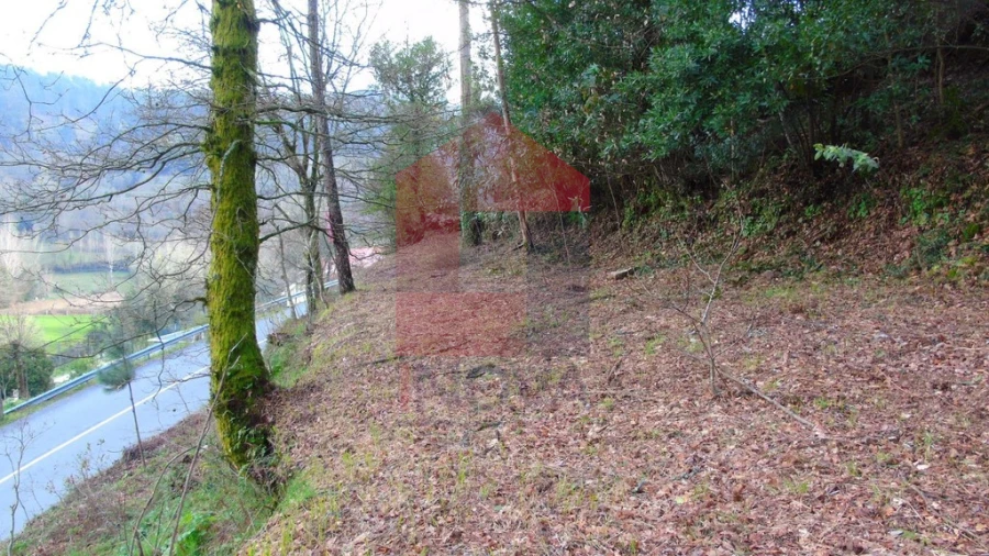 Terreno para Venda em Pico de Regalados, Gondiães e Mós Foto 2