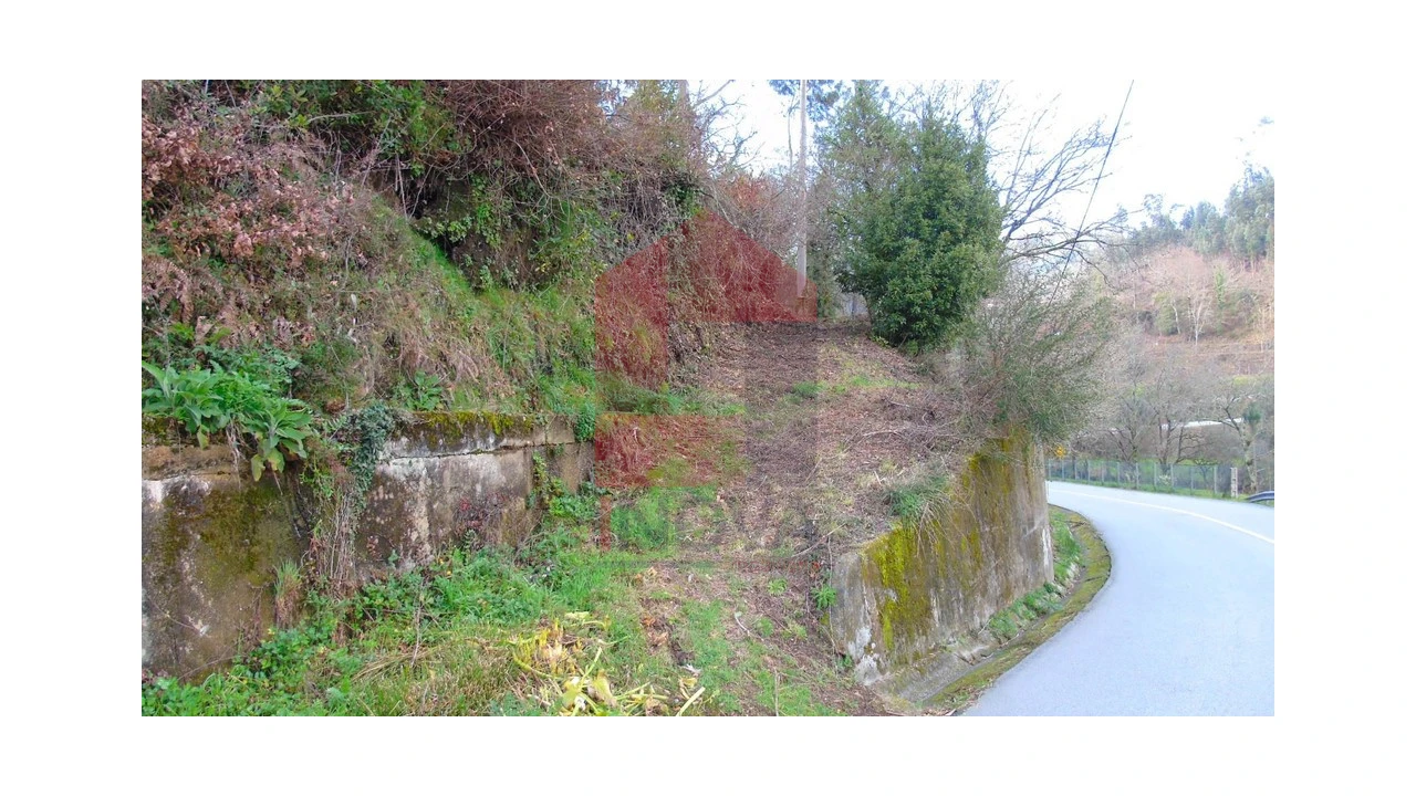 Terreno para Venda em Pico de Regalados, Gondiães e Mós Foto 4