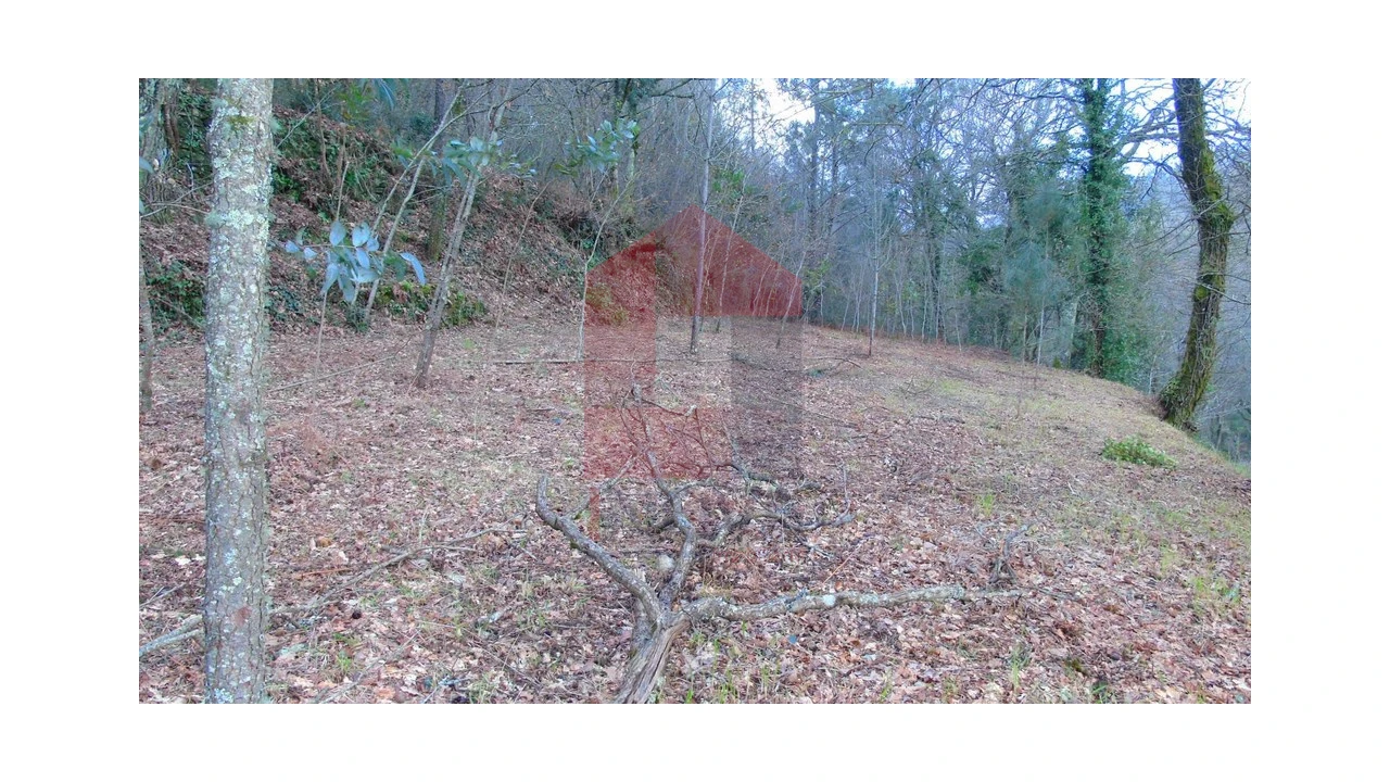 Terreno para Venda em Pico de Regalados, Gondiães e Mós Foto 1