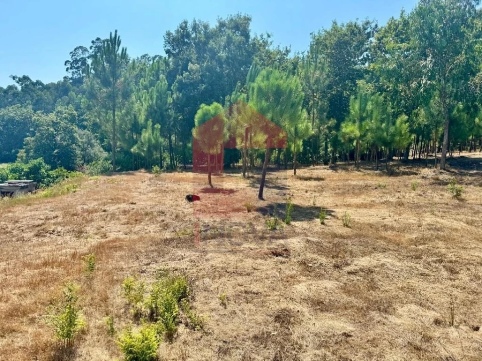 Terreno para Venda em Escariz (São Mamede) e Escariz (São Martinho) Foto 11