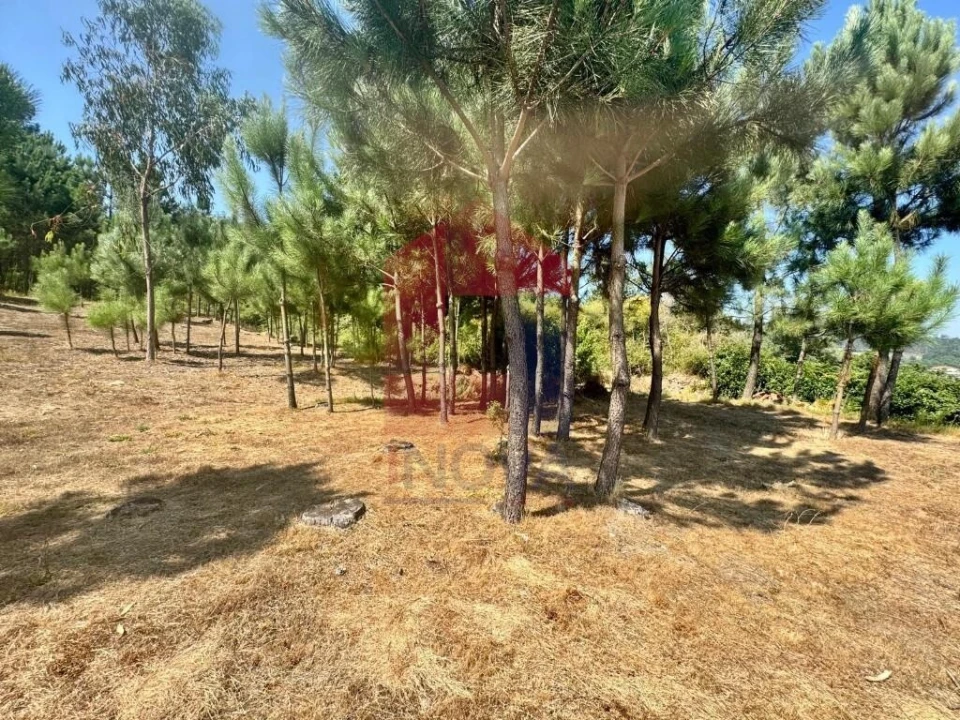 Terreno para Venda em Escariz (São Mamede) e Escariz (São Martinho) Foto 17