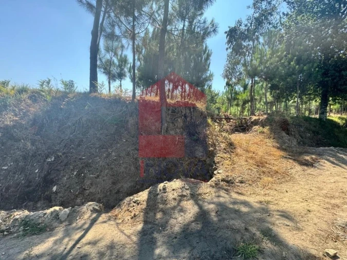 Terreno para Venda em Escariz (São Mamede) e Escariz (São Martinho) Foto 27