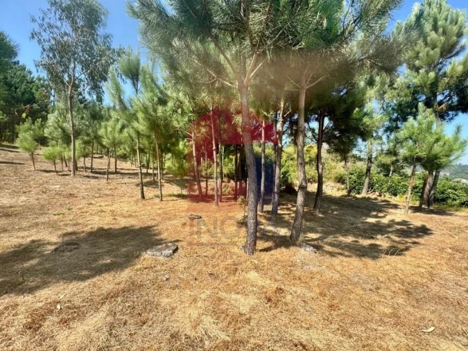 Terreno para Venda em Escariz (São Mamede) e Escariz (São Martinho) Foto 17