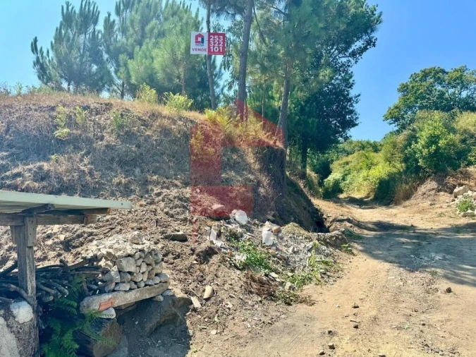 Terreno para Venda em Escariz (São Mamede) e Escariz (São Martinho)