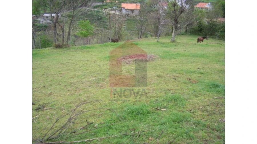 Terreno para Venda em Aboim da Nóbrega e Gondomar Foto 1