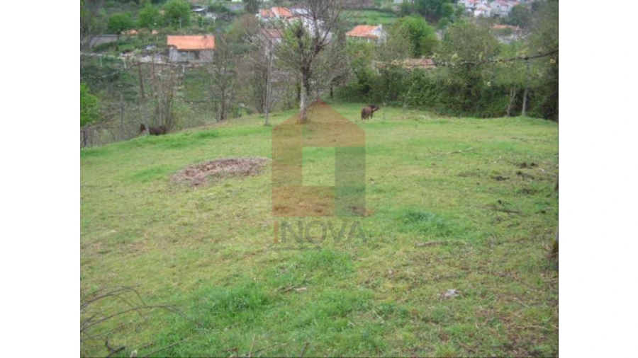 Terreno para Venda em Aboim da Nóbrega e Gondomar Foto 2