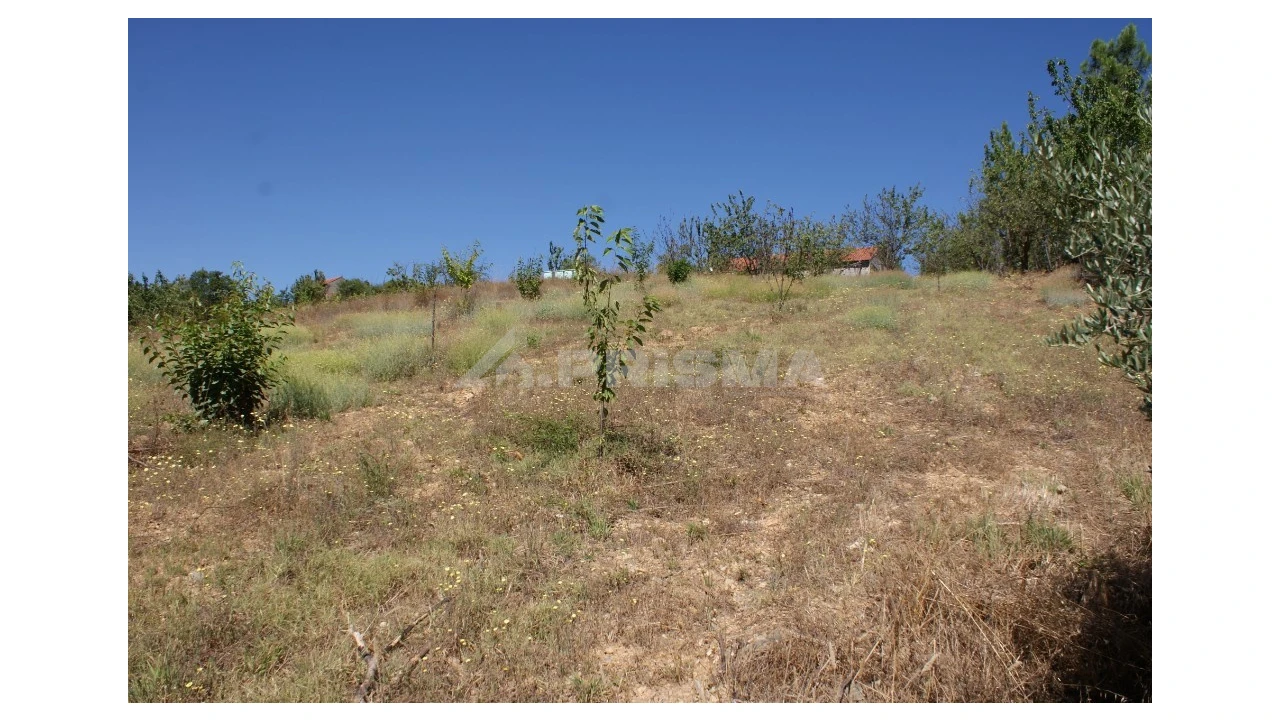 Terreno para Venda em Sobreira Formosa e Alvito da Beira Foto 6