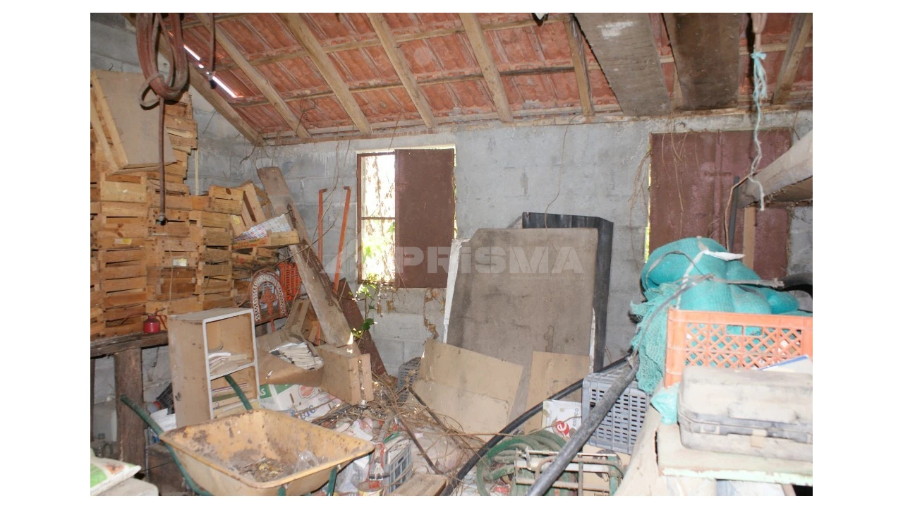 Terreno para Venda em Sobreira Formosa e Alvito da Beira Foto 18