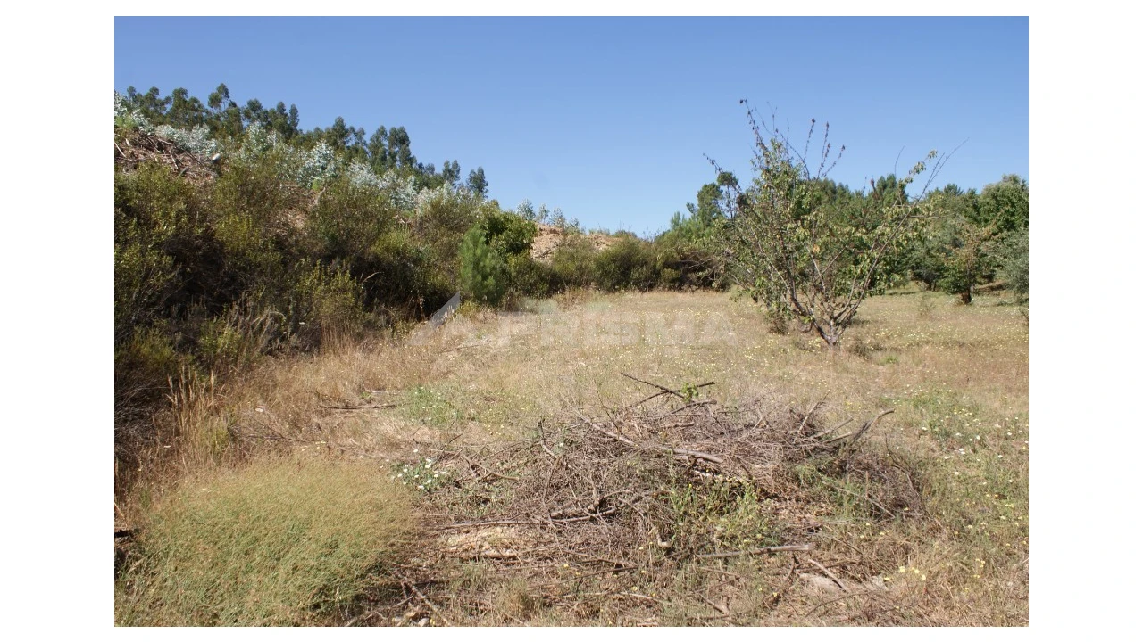Terreno para Venda em Sobreira Formosa e Alvito da Beira Foto 7