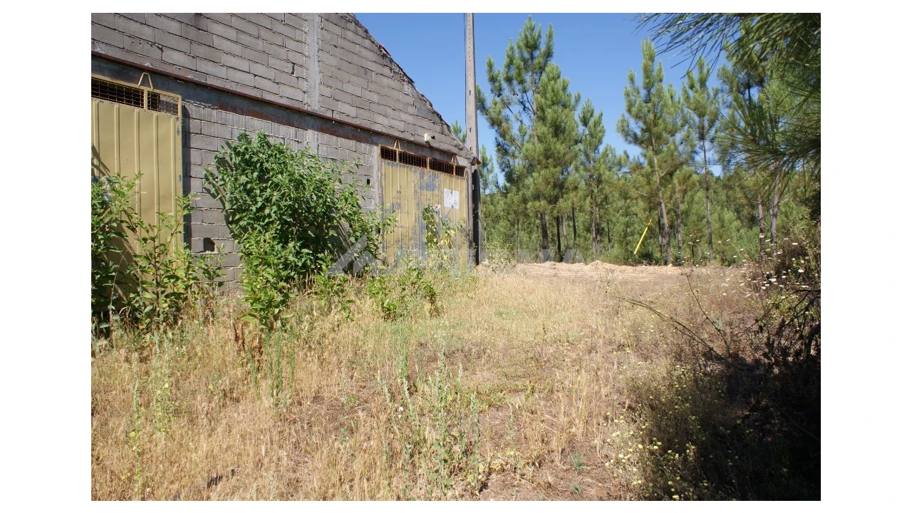 Terreno para Venda em Sobreira Formosa e Alvito da Beira Foto 1