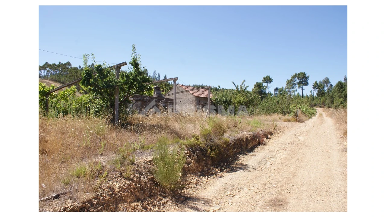 Terreno para Venda em Sobreira Formosa e Alvito da Beira Foto 19