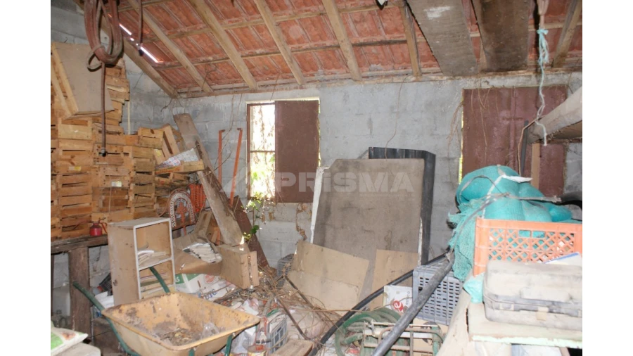 Terreno para Venda em Sobreira Formosa e Alvito da Beira Foto 18