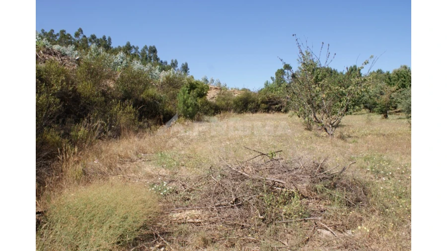 Terreno para Venda em Sobreira Formosa e Alvito da Beira Foto 7