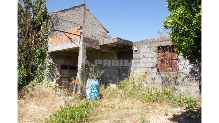 Terreno para Venda em Sobreira Formosa e Alvito da Beira Foto 14