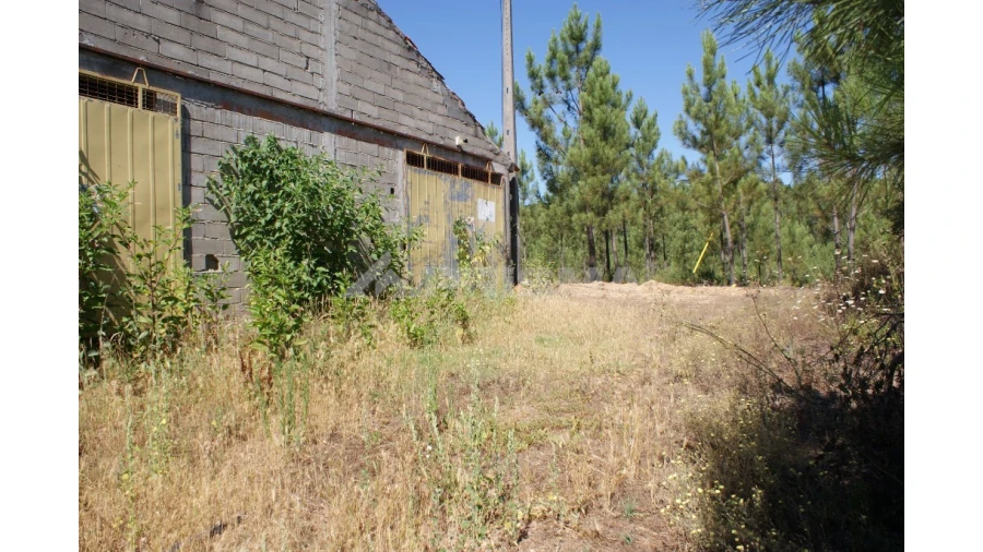 Terreno para Venda em Sobreira Formosa e Alvito da Beira Foto 1