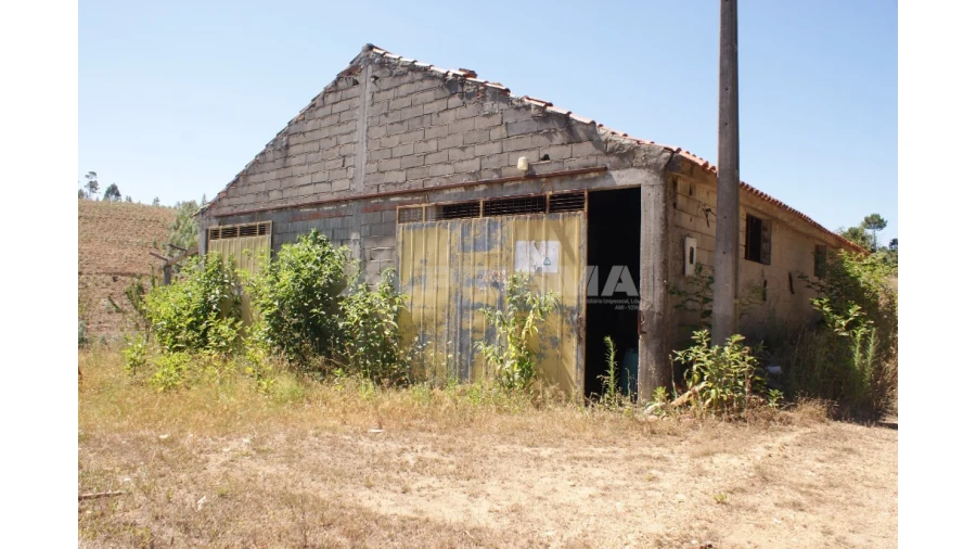 Terreno para Venda em Sobreira Formosa e Alvito da Beira Foto 20