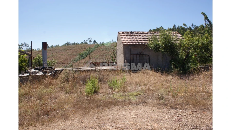 Terreno para Venda em Sobreira Formosa e Alvito da Beira Foto 17