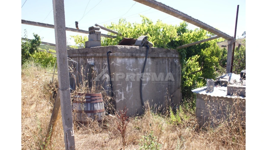 Terreno para Venda em Sobreira Formosa e Alvito da Beira Foto 16