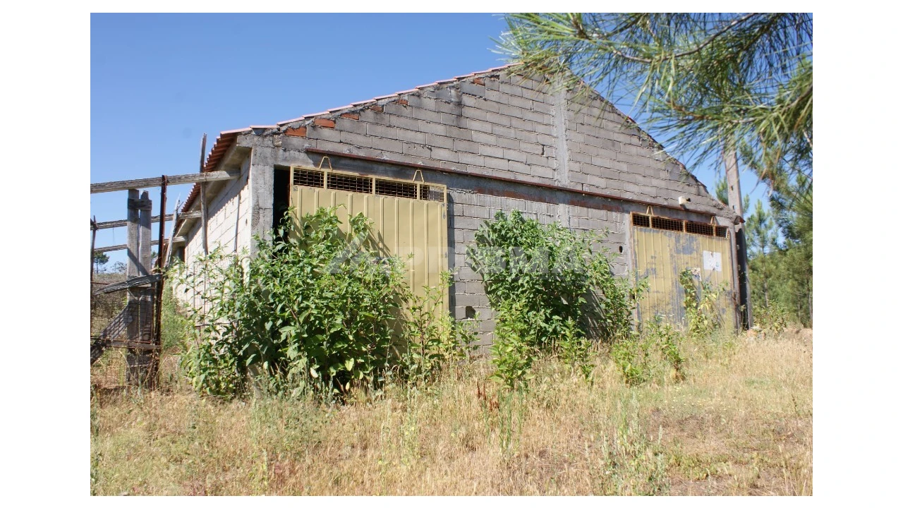 Terreno para Venda em Sobreira Formosa e Alvito da Beira Foto 2