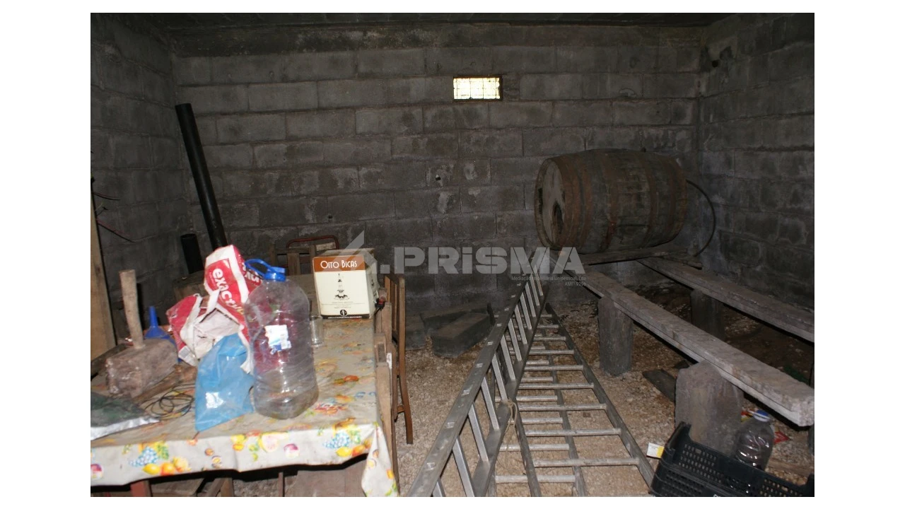 Terreno para Venda em Sobreira Formosa e Alvito da Beira Foto 13