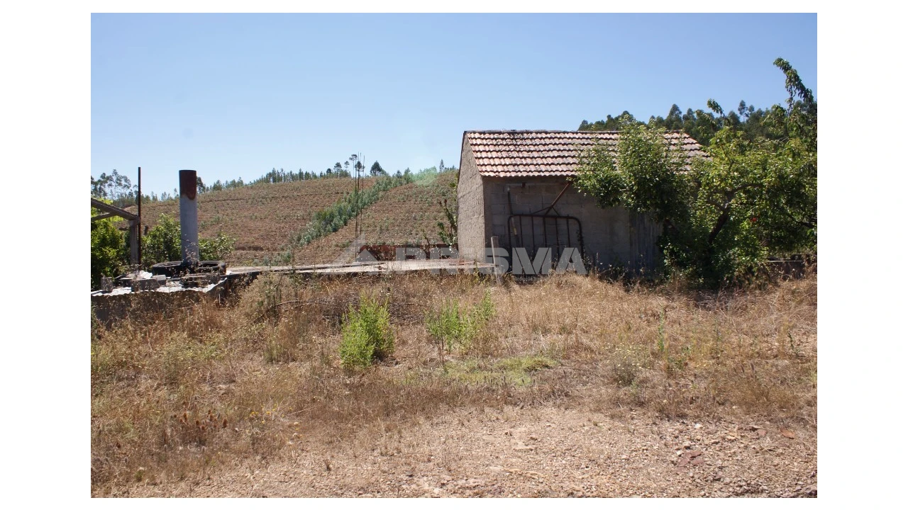 Terreno para Venda em Sobreira Formosa e Alvito da Beira Foto 17