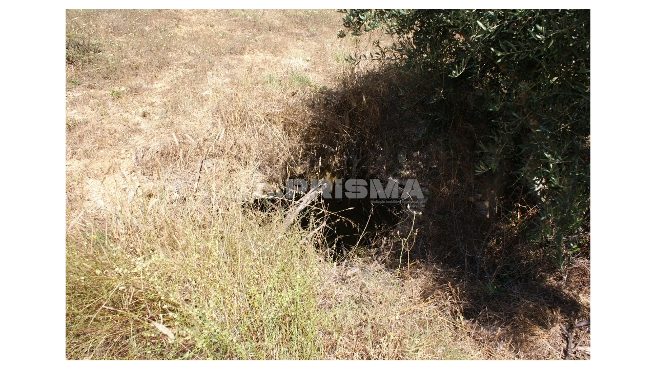 Terreno para Venda em Sobreira Formosa e Alvito da Beira Foto 5