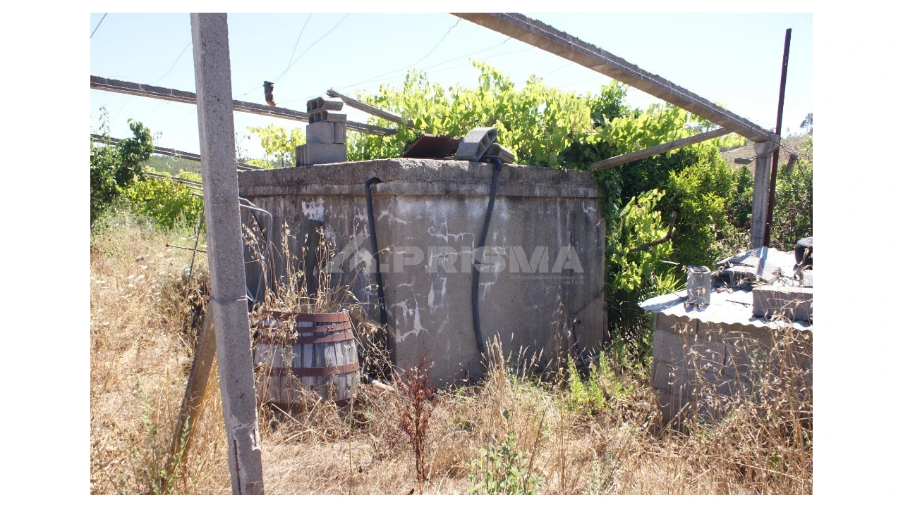 Terreno para Venda em Sobreira Formosa e Alvito da Beira Foto 16