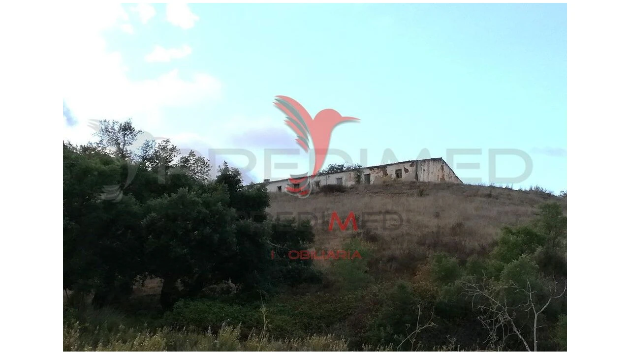Quinta para Venda em São Bartolomeu de Messines Foto 1